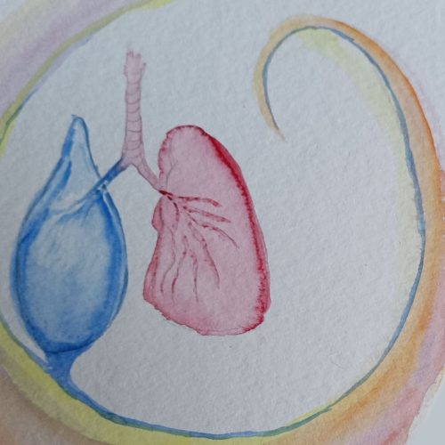 Ontwerp zonder titel